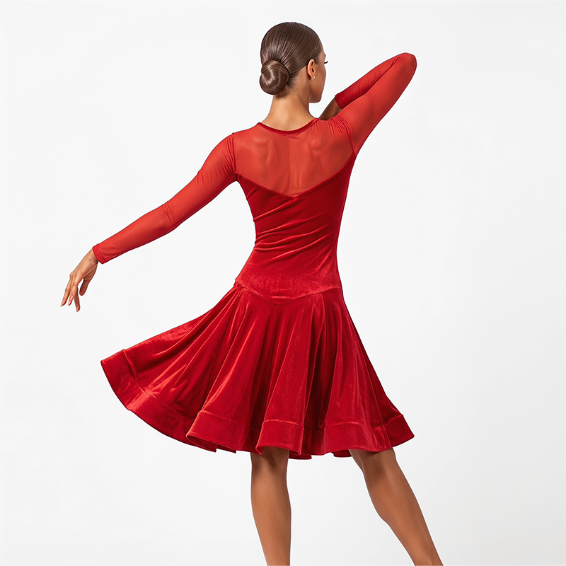 Customisable- Women's Performance Costume Professional Latin Dance Dress