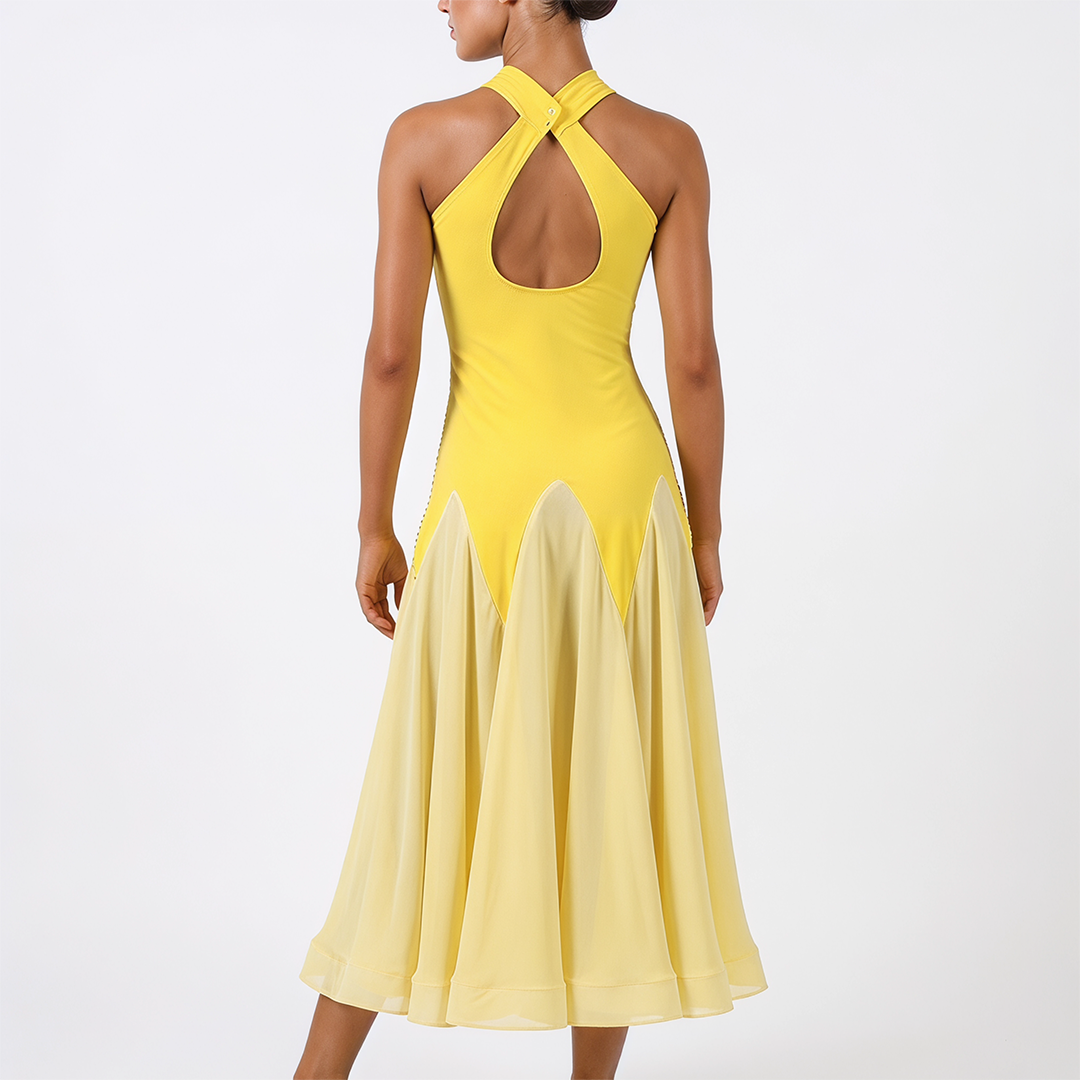 Customisable-Women's Sleeveless Modern Dance Performance Dress Ballroom Dance Dress