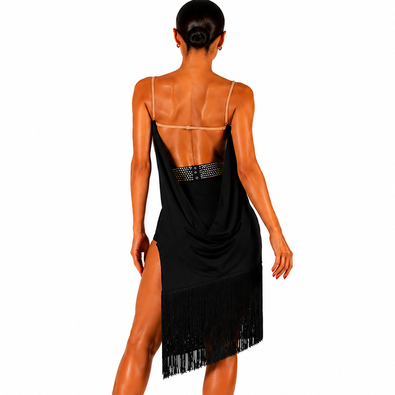 Customisable-Women's Rhinestone Tassel Rumba Latin Dance Dresses Performance Dresses