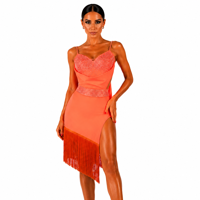 Customisable-Women's Rhinestone Tassel Rumba Latin Dance Dresses Performance Dresses