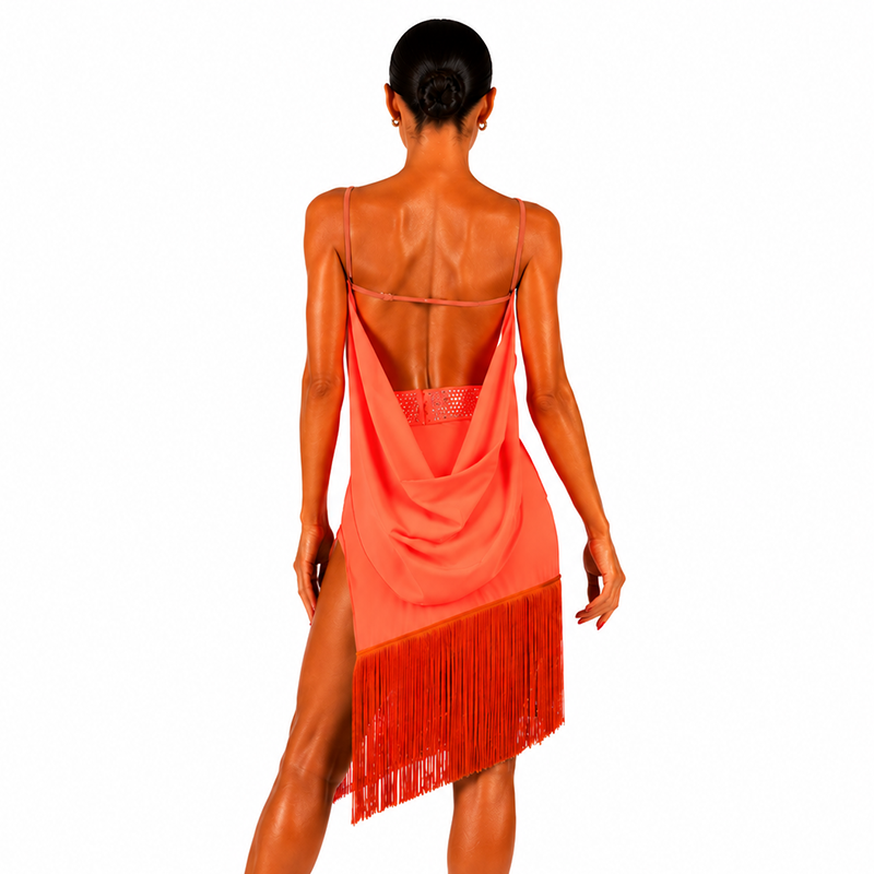 Customisable-Women's Rhinestone Tassel Rumba Latin Dance Dresses Performance Dresses