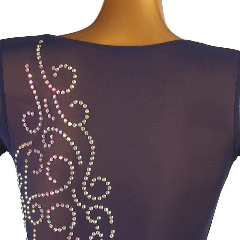 Customisable-Women's Nylons Latin Dance Dress Rumba Dance Practice Dresses Performance Dresses