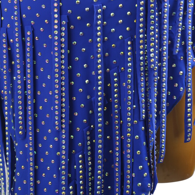 YZY Customisable-Women's Blue Tassel DanceWear Dance Dress Performance Wear