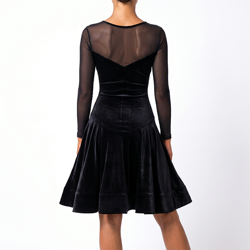 Customisable- Women's Performance Costume Professional Latin Dance Dress