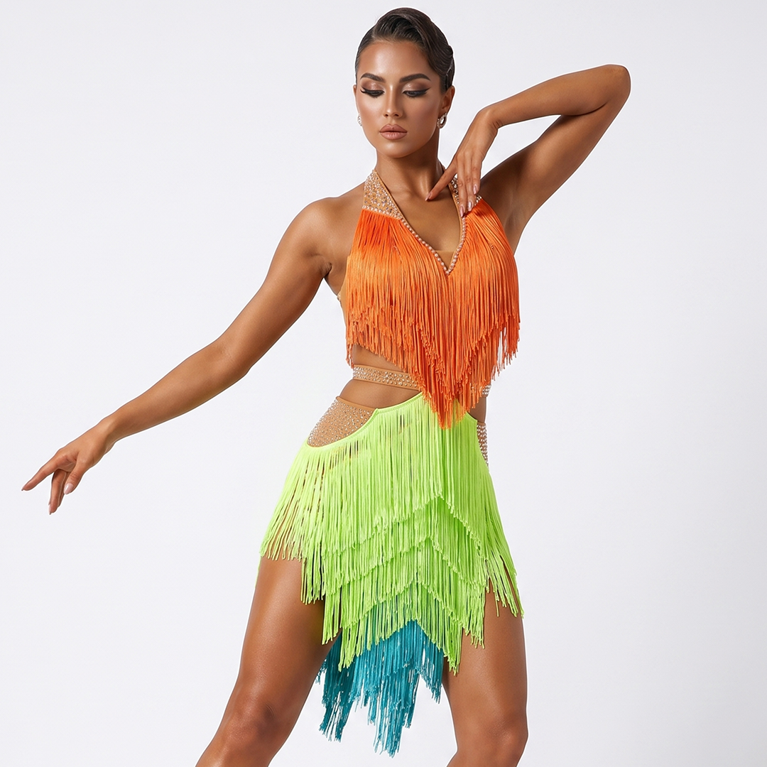 Customisable-Women's Tassel DanceWear Dance Dress Performance Wear