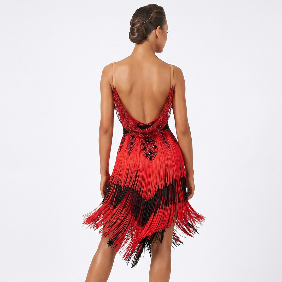 Customisable-Women's Red Tassel DanceWear Dance Dress Performance Wear