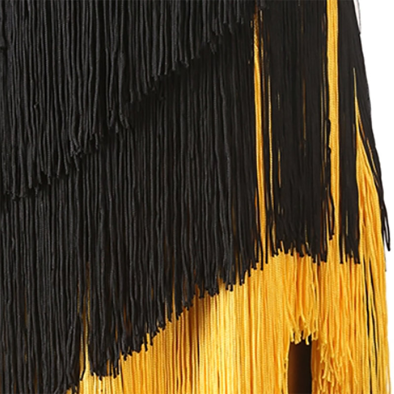 Customisable-Women's Black Tassel  Sleeveless Performance Latin Dance Dress Dance Wear