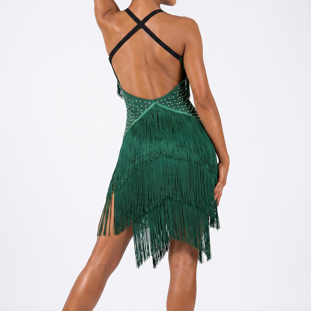 Customisable-Women's Green Tassel Dance Wear Dance Dress Performance Wear